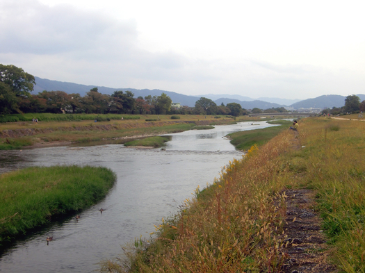 141017鴨川.jpg