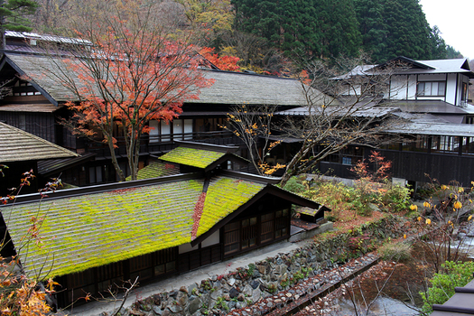 20141118_1.jpg