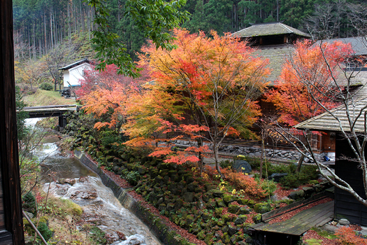 20141118_2.jpg