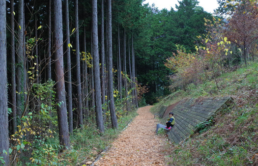 okutama.jpg